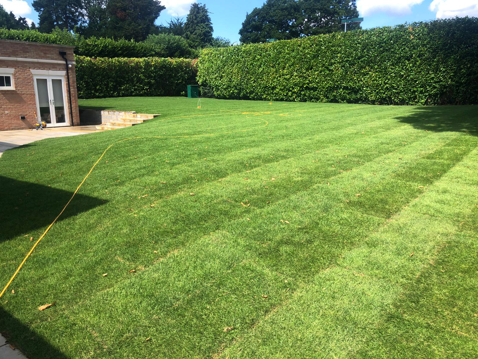 Turfing and Seeding